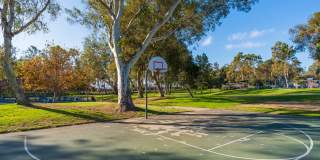 New Torrance Home! Gallery 44