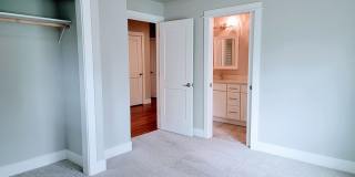 Luxurious and spacious 3 bed home in Manette Gallery 8