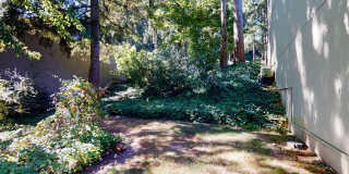 Private Lakefront Oasis in Sixty-01 Village Private Lakefront Oasis in Sixty-01 Village Gallery 12
