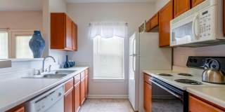 Cornerstone Cornerstone Gallery 15