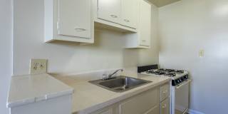 Swift at Riverdale Park Gallery 18