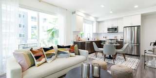 Ovelo Hollywood Gallery 3