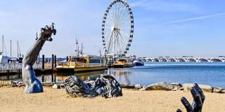 5815 ARBROATH DR Gallery 41