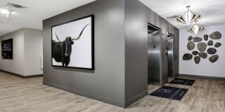 Riverwalk Gallery 15