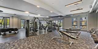 Soltra Kierland Gallery 15