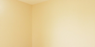 252 North St Gallery 11