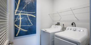 Madamore Gallery 19