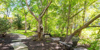 4705 RIPPLING POND Drive Gallery 3