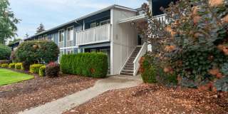 Village at Sota Gallery 4