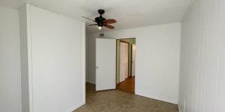 338 Addax Gallery 19