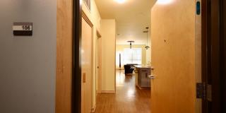 Settlement Place Gallery 187