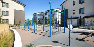 The Strand Gallery 41