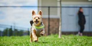 Authentix Lakeville Gallery 19