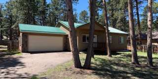 Adorable 3 Bedroom Home in Woodland Park Gallery 1