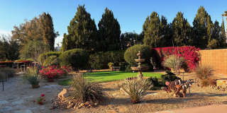 81407 Golden Poppy Way Gallery 19