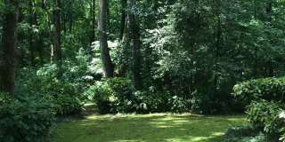 Beautiful Colonial-Style Home on Quiet Cul-de-Sac with Basement & Private Backyard! Gallery 31
