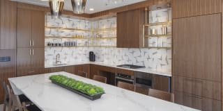 The Gossamer Gallery 13