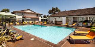 Cassia Apartments Gallery 1