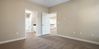 5168 Foxtail Pine Street Gallery 14