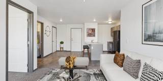 Cherry Creek Village Gallery 1