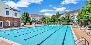 Reid's Prospect Gallery 14