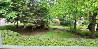310 Mountain Alder Lane Gallery 51