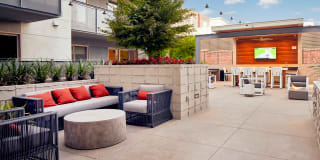 Main+Nine Gallery 13