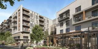 Halo Decatur Gallery 15