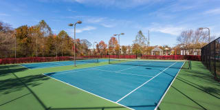 The Mercer at Lawrence Station Gallery 13