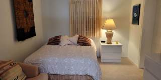 Short term starting Jan. 1, 2027 only BIRD KEY Large 4/3 canal home with heated pool Gallery 39