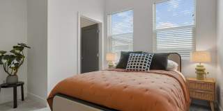 Edera Gallery 12