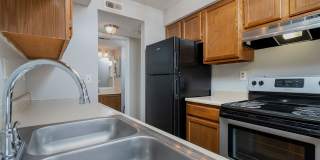 Steeplechase Gallery 20