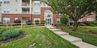 300-G TALL PINES Court Gallery 1