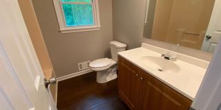 74 Mt Moriah Road Gallery 10