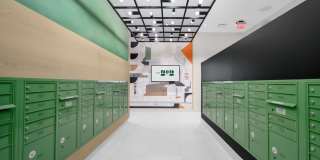 The 202 Gallery 49