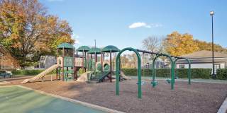 Compass Vista Gallery 30