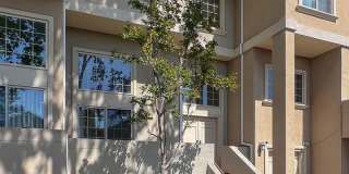 3 bedroom 2.5 bath townhome with multiple levels! Gallery 1