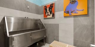 Motion at Dadeland Gallery 30