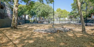 Treehouse Apartments Gallery 54