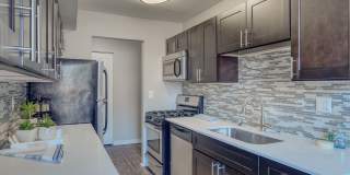 Spice Tree Gallery 5