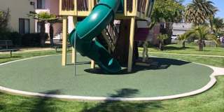 Bay Laurel Gallery 28