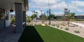 Zenn Skyview Gallery 52