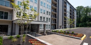 Verona at Naylor Metro Gallery 26