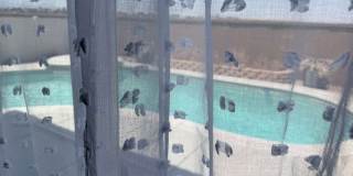 16764 Desert Lily Street Gallery 1