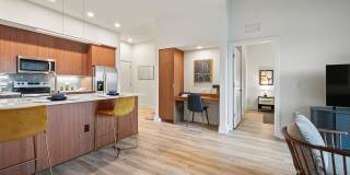 Luna at Viera Gallery 27