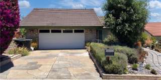 25522 Mackenzie Street Gallery 1