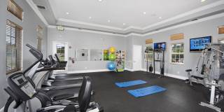 Sunny Lake Gallery 32