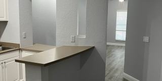 402 S. Armenia Ave Unit 114 Gallery 13