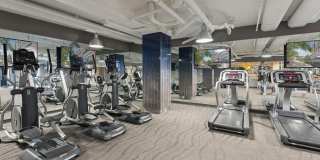 455 at Tinner Hill Gallery 29