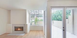 20 Vassar Aisle Gallery 2